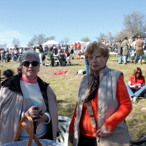 Almendro en flor 2026 (36)